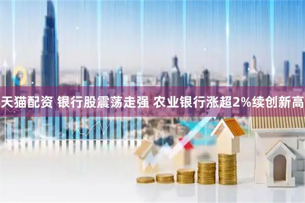 天猫配资 银行股震荡走强 农业银行涨超2%续创新高