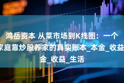 鸿岳资本 从菜市场到K线图：一个普通家庭靠炒股养家的真实账本_本金_收益_生活
