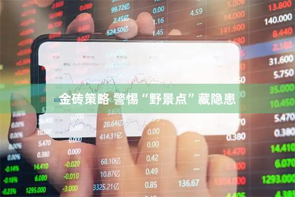 金砖策略 警惕“野景点”藏隐患