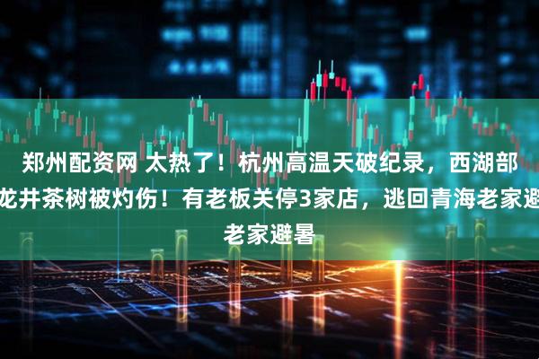 郑州配资网 太热了！杭州高温天破纪录，西湖部分龙井茶树被灼伤！有老板关停3家店，逃回青海老家避暑