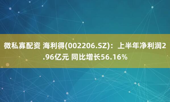微私寡配资 海利得(002206.SZ)：上半年净利润2.96亿元 同比增长56.16%