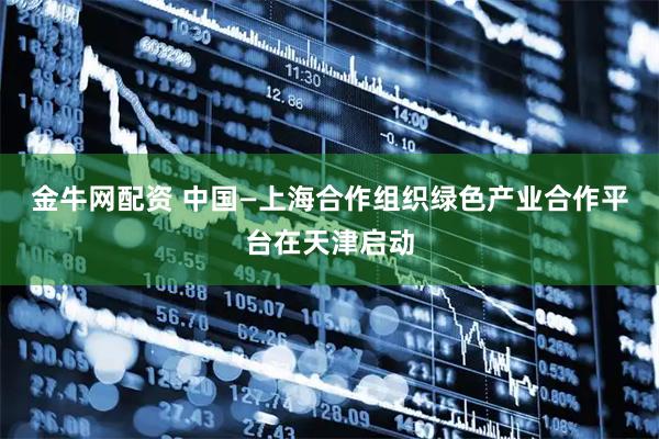 金牛网配资 中国—上海合作组织绿色产业合作平台在天津启动