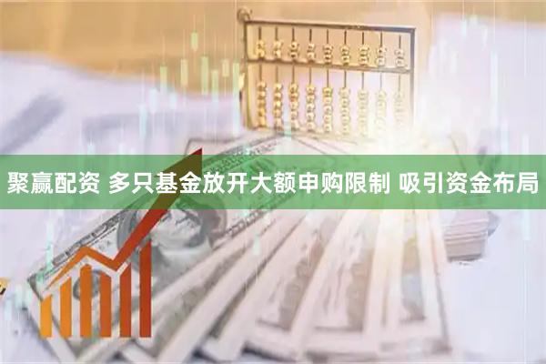 聚赢配资 多只基金放开大额申购限制 吸引资金布局