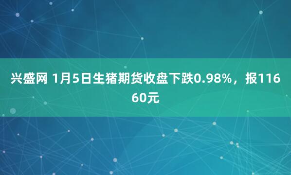 兴盛网 1月5日生猪期货收盘下跌0.98%，报11660元